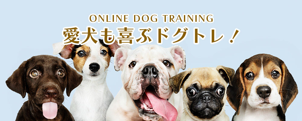 ドグトレ！
